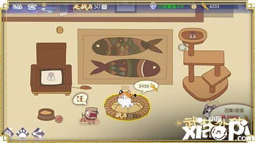 喂养萌喵领福利 新《武林外传手游》猫舍玩法上线