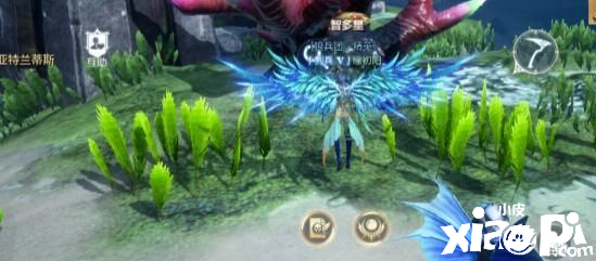 生命和物理防御在【全民奇迹2】中先提升哪个更理想