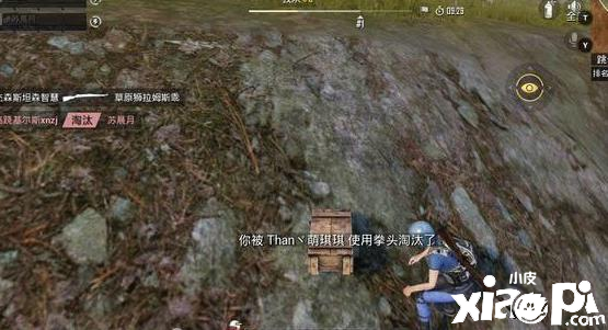 主播的玩法并不适合多数的和平精英玩家