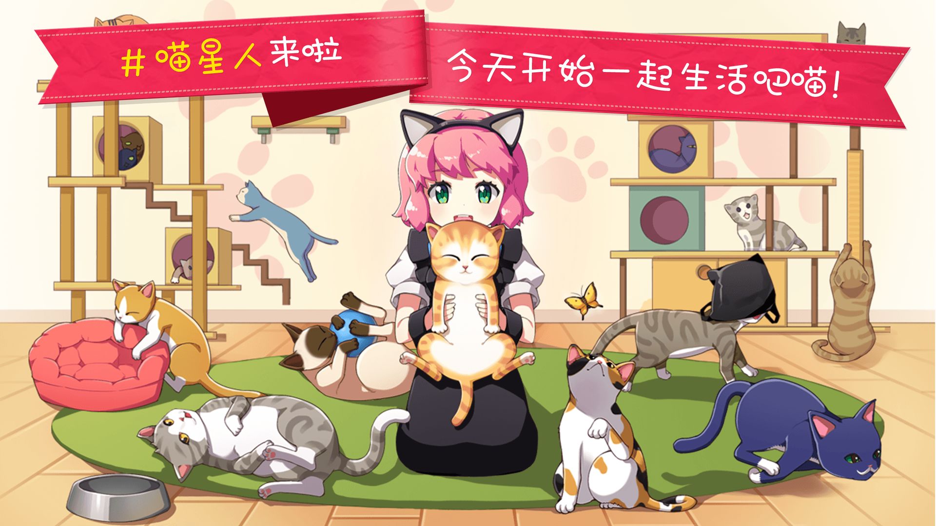 猫猫咖啡屋1