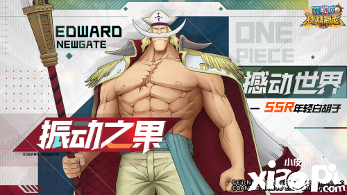 《航海王：燃烧意志》SSR年轻白胡子即将登场