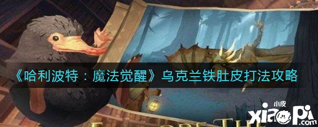 《哈利波特：魔法觉醒》乌克兰铁肚皮打法