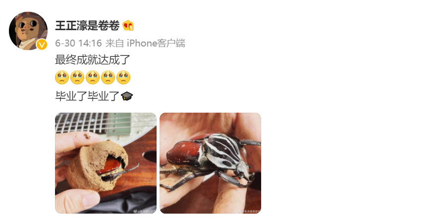 《我的音乐你听吗？》不爱玩策略游戏的兽医当不了好歌手