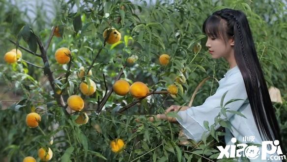 李子柒起诉杭州微念！微念申请李子柒商标全被驳回