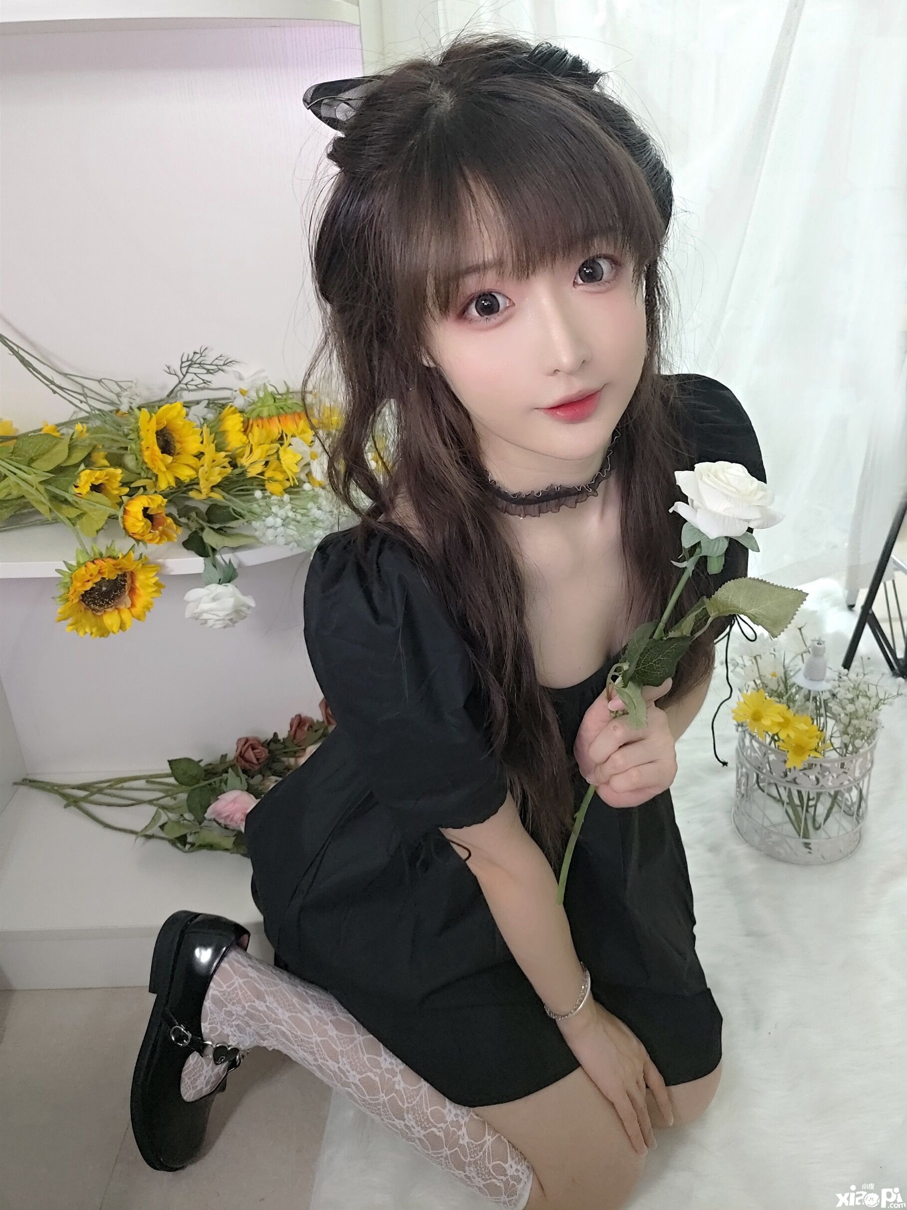 live零距离，刀剑官抖直播预告