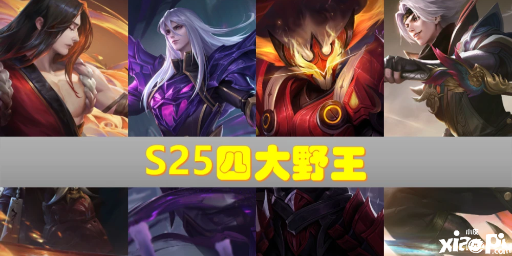 王者荣耀：澜废了，诸葛亮废了，S25赛季还有哪些野王英雄