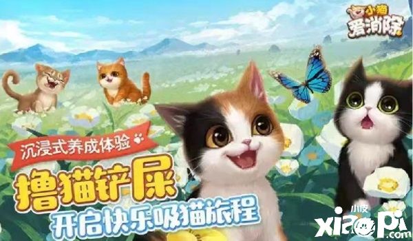 跟随现代的进步“云吸猫”？小猫爱消除满足你