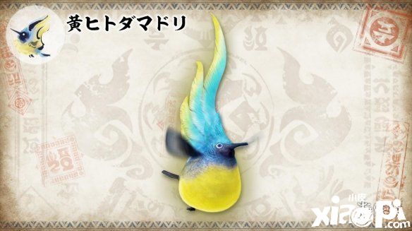 《怪物猎人：崛起》全新企划「环境生物百科全书」登场！