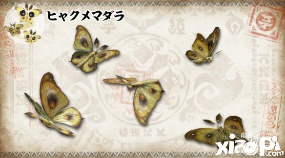 《怪物猎人：崛起》全新企划「环境生物百科全书」登场！