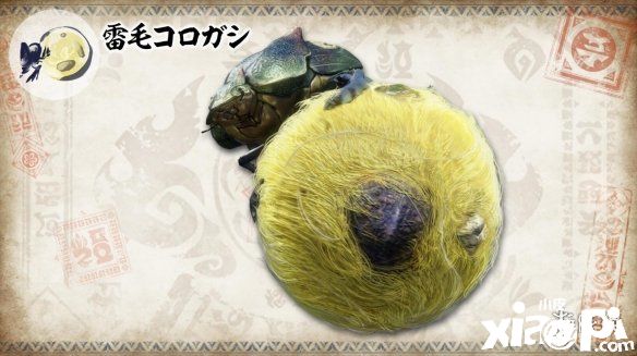 《怪物猎人：崛起》全新企划「环境生物百科全书」登场！