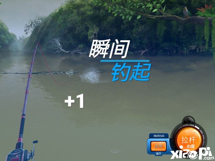 钓鱼大对决：全新渔场“耶拉帕”&全新垂钓探索玩法上线！