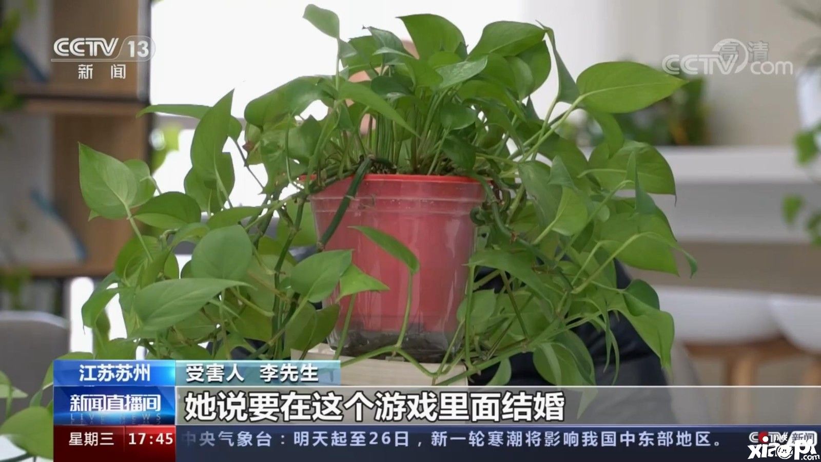 游戏拖诈骗团伙被警方捣毁，专挑单身男性下手