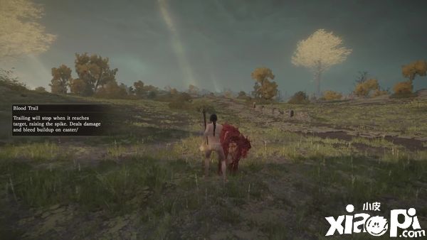 《艾尔登法环》全新内容视频曝光，各类法术的释放