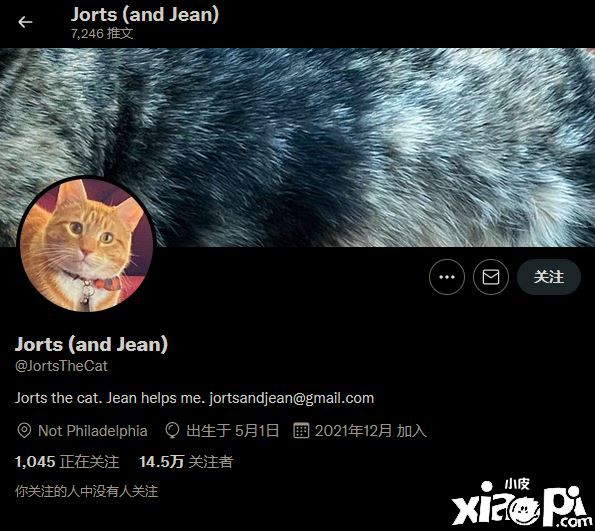 《星露谷物语》Mod新增现实网红猫咪作为NPC