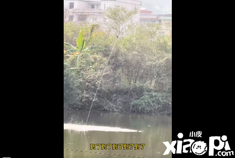 网友用无人机钓鱼结果被大鱼被拖进水了！