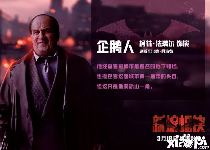 《新蝙蝠侠》官方发布全新中文角色介绍海报,3月18日上映