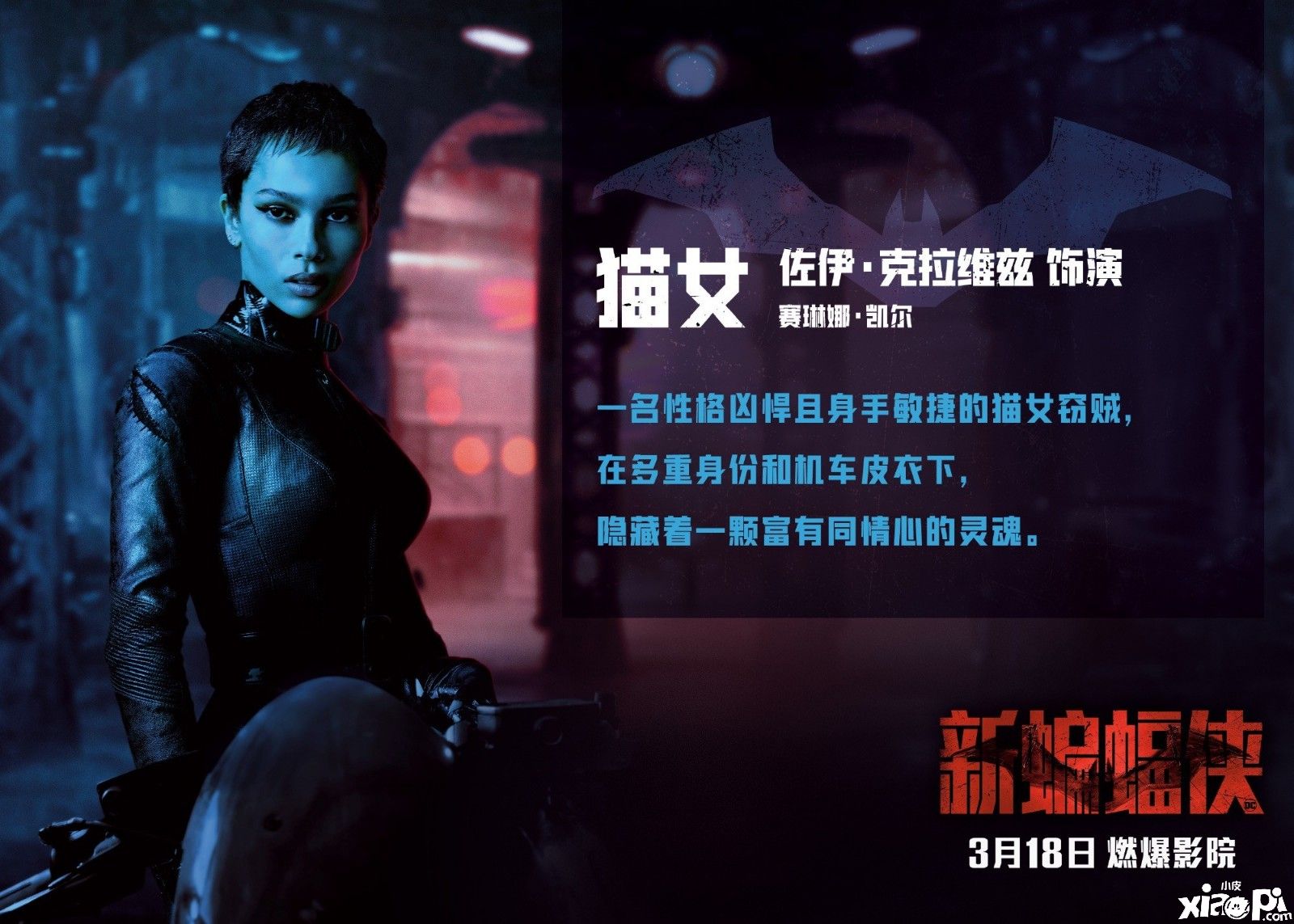 《新蝙蝠侠》官方发布全新中文角色介绍海报,3月18日上映
