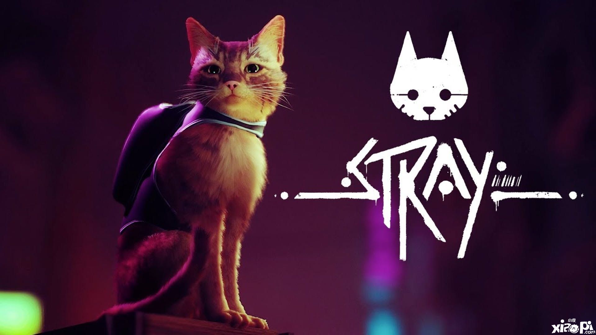 发行商确认猫咪冒险游戏《Stray》仍会在2022年发售