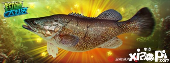 来玩《钓鱼大对决》体验与众不同的自然系垂钓！