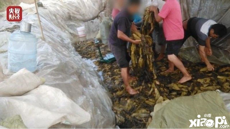 仓库失火烧毁大量老坛酸菜牛肉面上热搜，网友直呼太巧了！