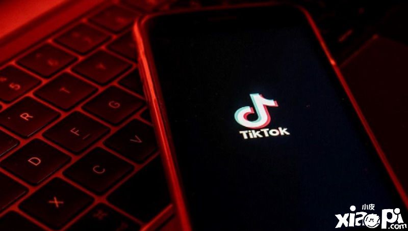 TikTok2022年预估广告收入超110亿美元 或超推特+色拉布