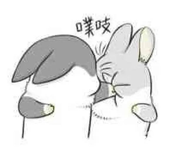 《绝对演绎》推迟新外观正式上线,只为打造顶流时尚体验!