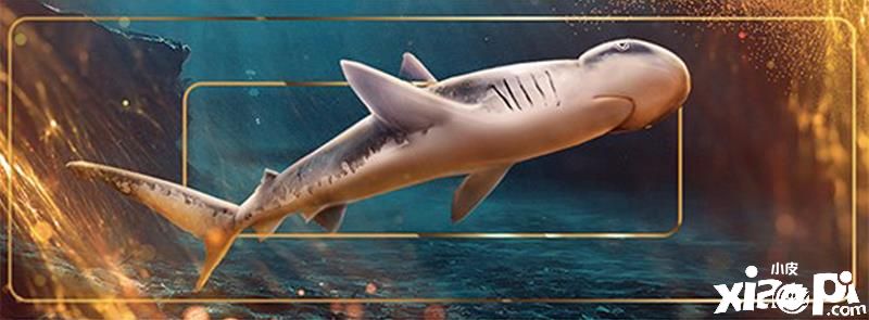 《钓鱼大对决》华为渠道4月26日正式上线，享环球旅钓领免费好礼！