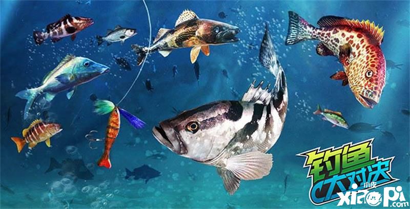 《钓鱼大对决》巴西海岛“费尔南多”4月29日正式开放!