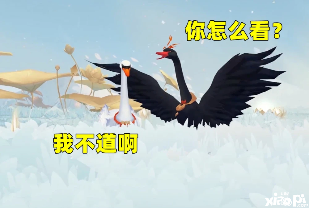 《阴阳师》八百比丘尼新皮肤“墨染雅时”好评如潮，官方真是阴阳调和啊！