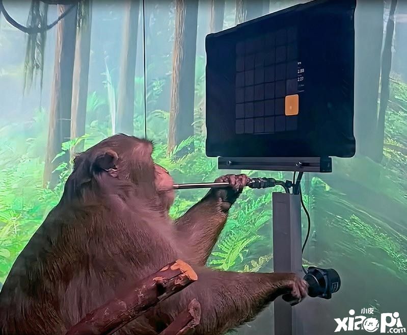 脑机接口公司将在美国开展人体试验！