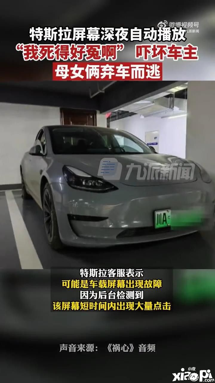 特斯拉深夜播放“我好冤啊”惊悚女声被中消协点名！