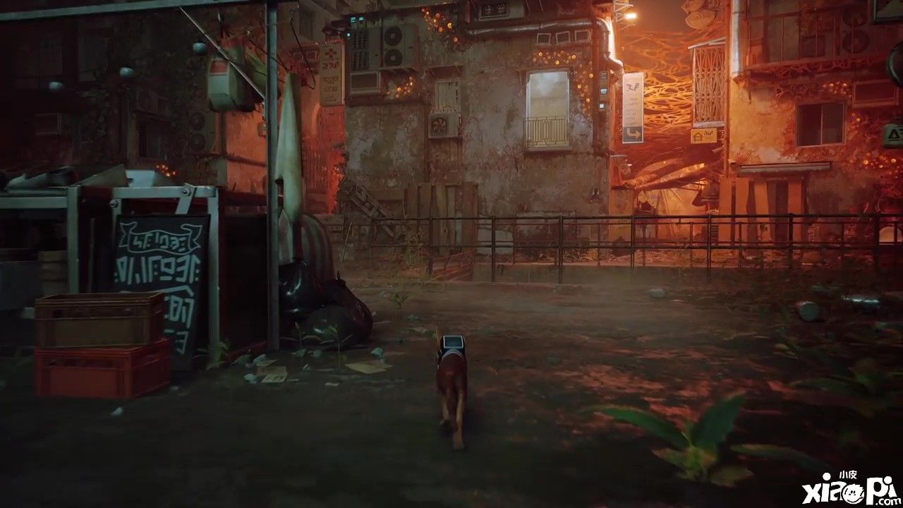 第三人称猫咪冒险游戏《迷失》最新实机预告公布，将于7月19日正式发售！
