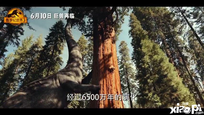 《侏罗纪世界3》终极预告发布，将于6月10日正式上映！