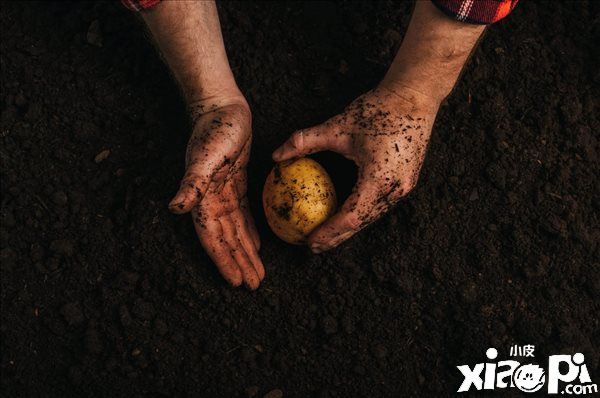 《糖豆人：终极淘汰赛》免费开放后人数达到2000万人！