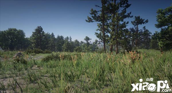 《荒野大镖客：救赎2》植被高清化Mod公布，清晰度翻倍！