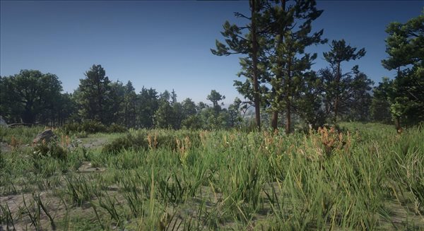 《荒野大镖客：救赎2》植被高清化Mod公布，清晰度翻倍！