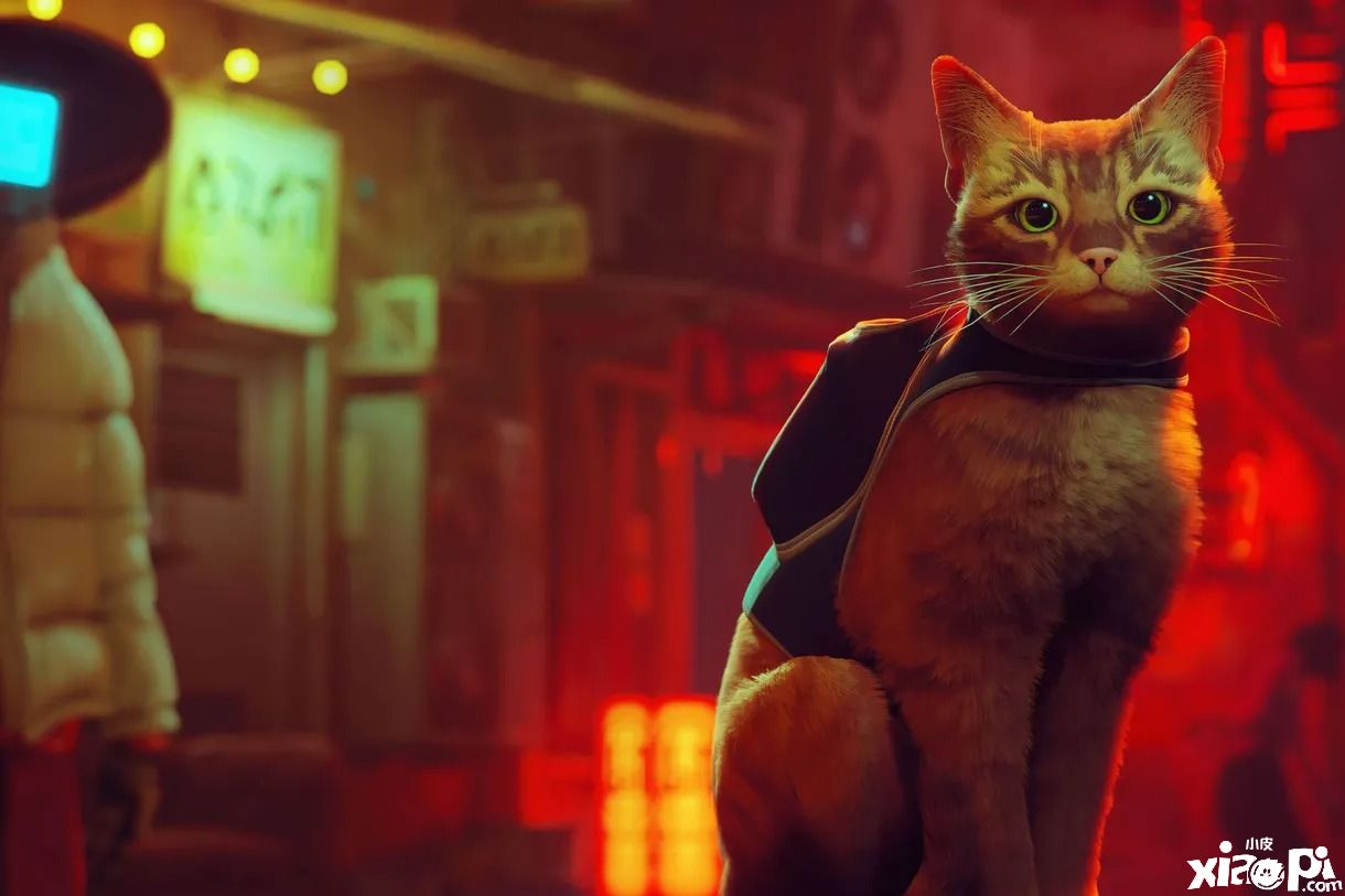 《迷失》新MOD公布，将猫猫的叫声改为叫“杰森”的声音