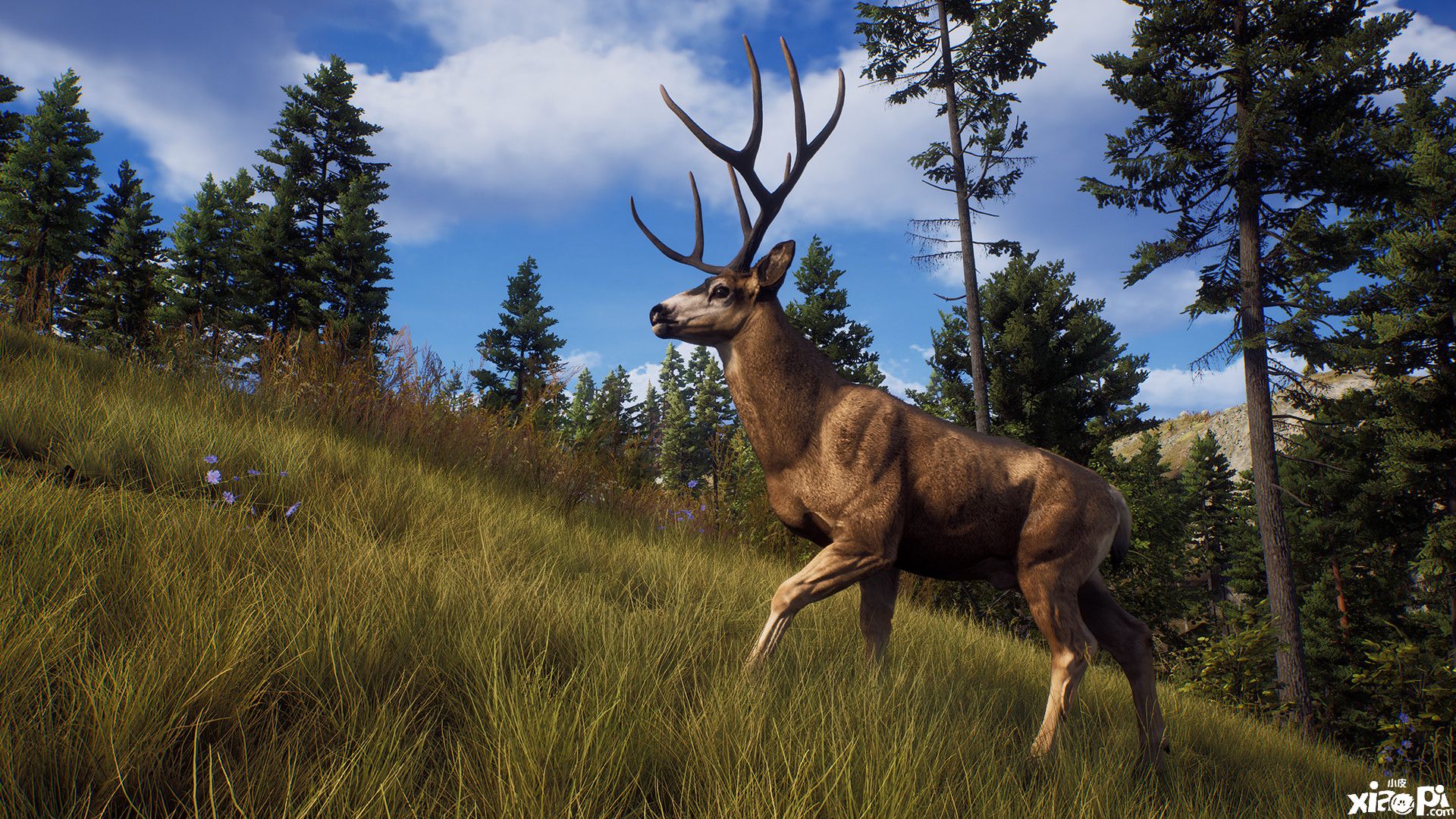 《狩猎之道》最新预告公布，游戏8月17日正式发售！