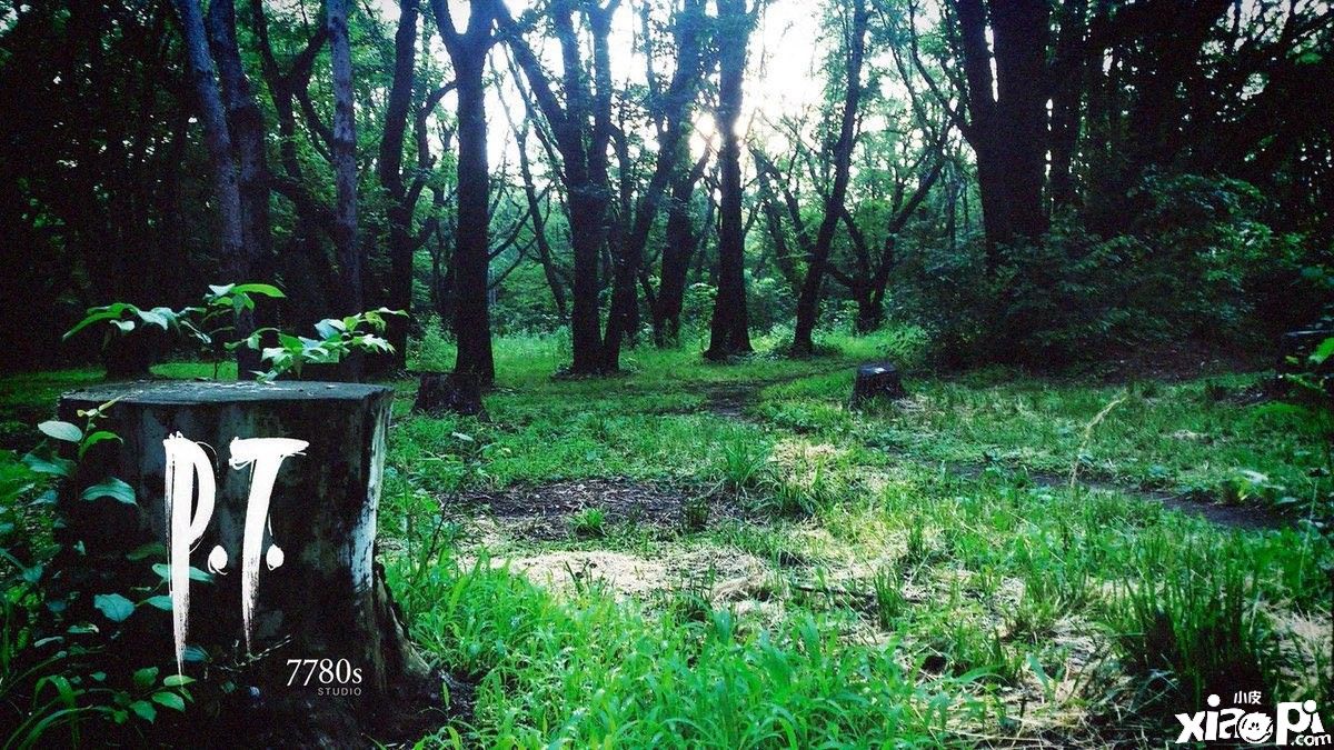 《寂静岭P.T.》负责人“Pearl L”称，游戏下架这事令人尴尬到抠脚！