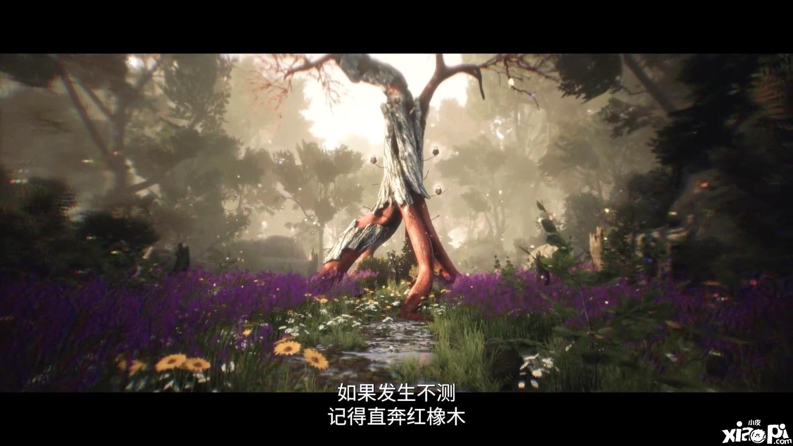 2022科隆游戏展如约而至，《女巫悲歌》最新预告公布！