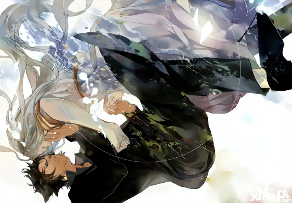 《命运-冠位指定(FGO)》探讨一下持有虚假数据的几位另类从者!