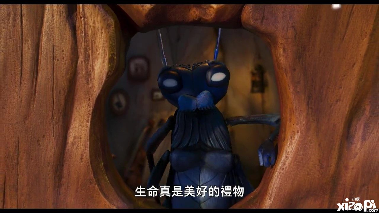 电影版《匹诺曹》中文预告公布，影片将于12月9日正式上映！