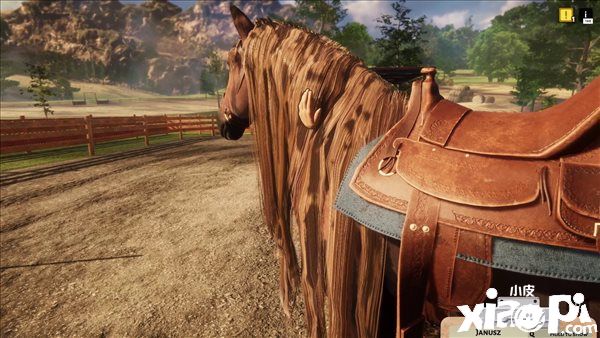 《动物收容所》DLC“马匹之家”上架Steam，发售日待定！