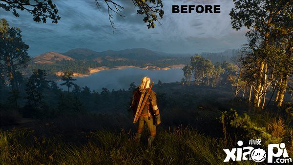 《巫师3次世代版》阴影修复MOD，修复RT阴影跳动！