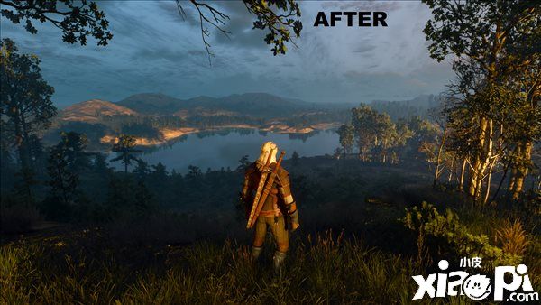 《巫师3次世代版》阴影修复MOD，修复RT阴影跳动！