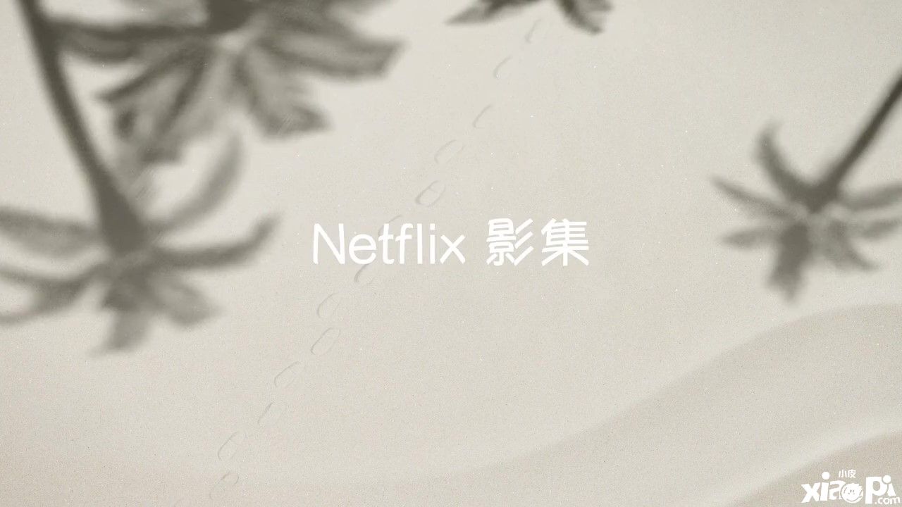 《宝可梦：礼宾部》动画剧集先导预告公布，上线日期待定！