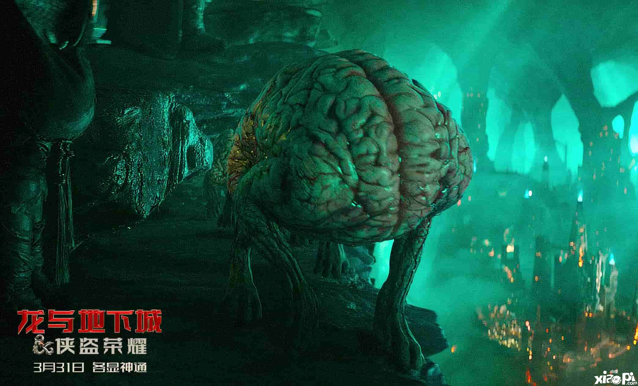 《龙与地下城：侠盗荣耀》奇葩怪物大赏，闯关打怪冒险高能开启！