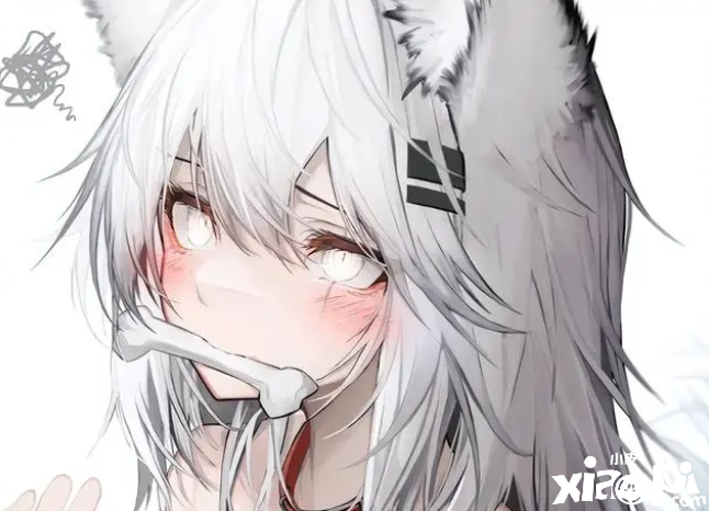 《明日方舟》如果组一个五星干员开荒队，你会选择哪12位干员！