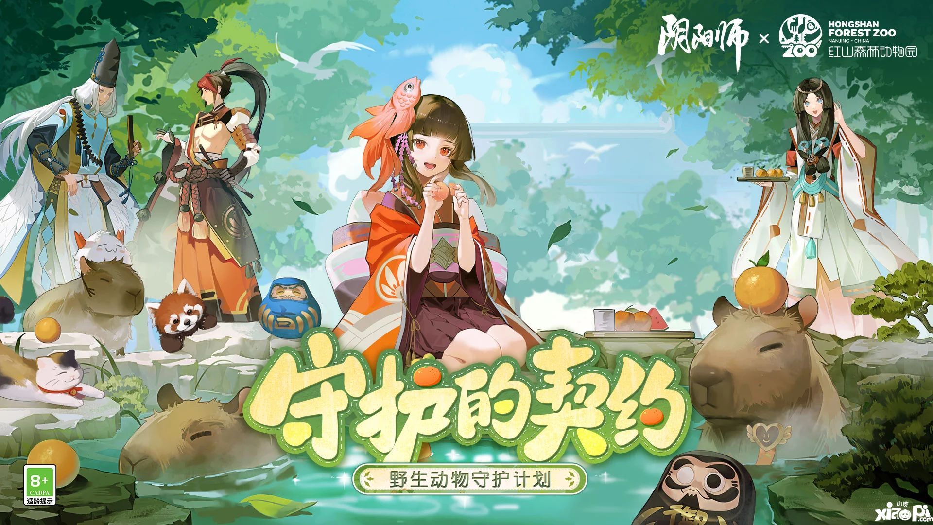 《阴阳师》守护的契约·野生动物守护计划启动！公益讲堂、特别节目现正