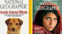 美国国家地理杂志将停出纸质版 解雇全部专职撰稿人